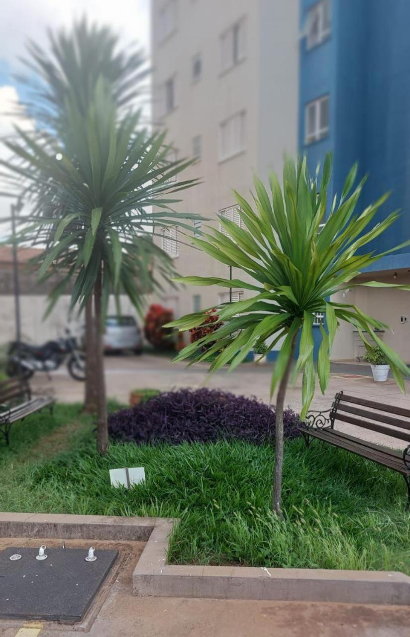Apartamento Mari 7 São Carlos エクステリア 写真